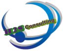 H2S Consulting